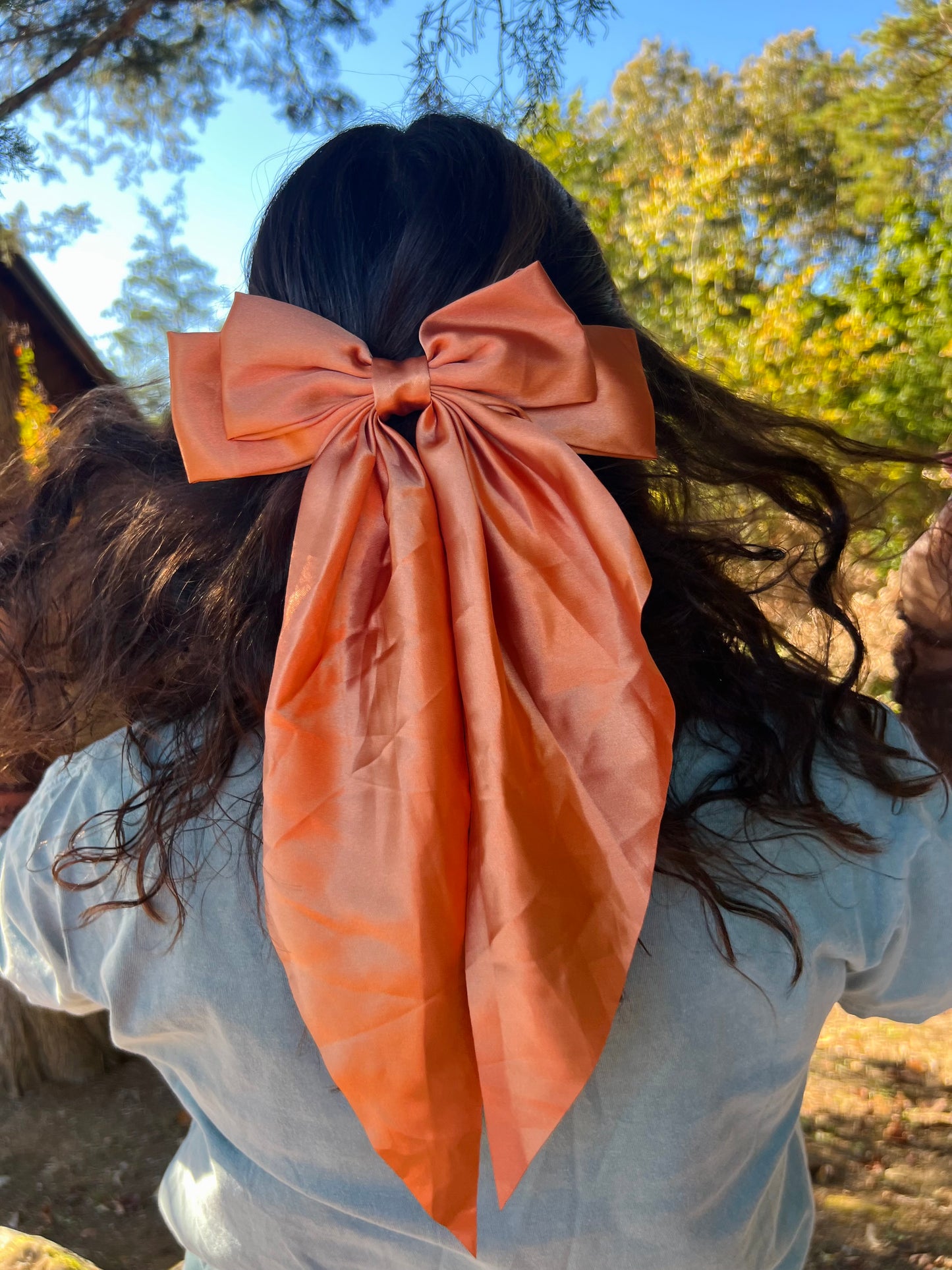 Fall Bow Clips