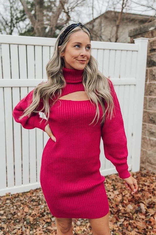 Wine Sweater Dress